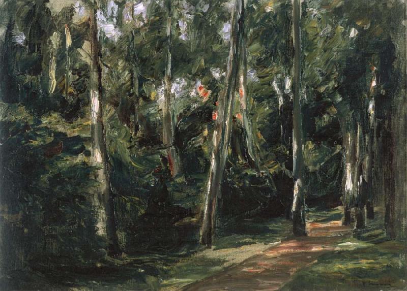 Max Liebermann The Birch-Lined Avenue in the Wannsee Garden Facing Southwest Sweden oil painting art